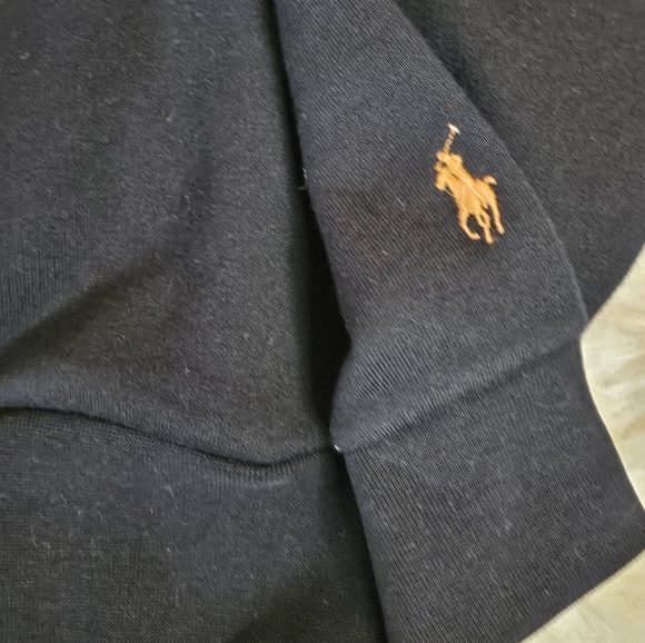 POLO BY RALPH LAUREN GRAPHIC FLEECE HOODIE - Picture 4 of 8